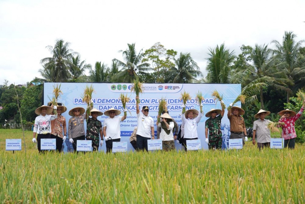 Panen Demplot Padi dan Aplikasi Digital Farming di Gapoktan Bukit Biru, Wagub Seno: Produksi Padi Meningkat, Petani Sejahtera