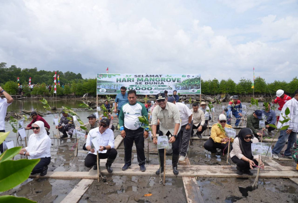 Pemprov Komitmen Dukung Pelestarian Mangrove di Pesisir